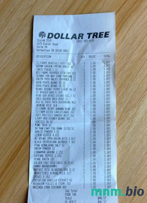 Dollar Tree Store szablon pokwitowania płatności PSD